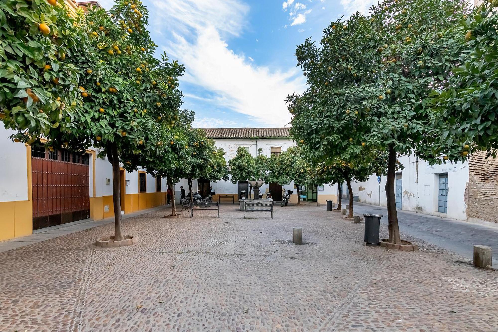 Bhost - Yayo Pepe Apartman Córdoba Kültér fotó
